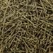 Shapenty 1000PCS Mini Metal Wire Eyepins - 20mm Bronze - DIY Craft Jewelry Making - Buy Online on GoSupps.com