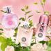 Hybrid & Company Women 3 Pcs Fragrance for Women Eau De Parfum Natural Spray Scent LA VIDA BELLA 717 SEXY WOMEN Paris Women 3.4 Fl Oz (Pack of 3) - Buy Online on GoSupps.com