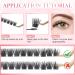 Glowing Win Single Eyelashes Extensions - 144 PCS DIY Cluster Lashes 8-16mm | Natural Wispy Individual False Eyelashes - Buy Online on GoSupps.com