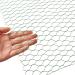 SATINIOR 2 Sheets Galvanized Chicken Wire Net 13.7 x 40 Inches for Crafts - Green Hexagonal Wire Mesh - Buy Online on GoSupps.com