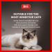 Bio PetActive Aloe Vera Cat Shampoo (400ml) - Gentle Cleansing & Moisturizing for Sensitive Cats and Kittens - Buy Online on GoSupps.com