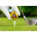 Oji-Emoji Premium Emoji Golf Balls 12-Pack Unique Professional Practice Golf Balls for Golfers Fun Golf Gifts for Men, Women, Dads, and Kids - Buy Online on GoSupps.com