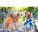 Small Dog Polka Dot Dress with Bow Skirt - Blue & Orange (S Size) - Buy Online on GoSupps.com