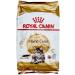 ROYAL CANIN MAINE COON ADULT 10 kg bag/Premium kibble for the Adult Maine Coon cat.