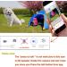 Wireless Rechargeable WiFi Pet Collar Camera Recorder Tracker - 720P HD with Night Vision - Bigger Size - Behavior Observation - Buy Online on GoSupps.com