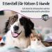 Pets Protect 100% Pure Lysine Powder for Cats & Dogs - 150g | High Dose Immune Support | German Quality | No Additives | Best for Cat Runt - Buy Online on GoSupps.com
