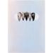 False Nail Tips Sample Display Stylish False Nail Sample Display Manicure Stand Professional Practice Holder for Nail Salon(Aurora matte -04) - Buy Online on GoSupps.com