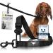 Kuinea dog belt car - elastic seat belt dog with rear damping - for all dog breeds & autotypes - buckling belt dog car - dog accessories car dog strapping car dogs autogurt robust