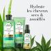 Herbal Essences Powerful Aloe and Hemp Gift Set with Shampoo and Conditioner - Buy Online on GoSupps.com
