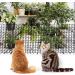 Cat Scat Spike Mat Pet Deterrent Spikes Prickle Mat with 8 Garden Staples for Garden Porch Home - Stop Dog Digging/Keep Cat Away (79" x 12") - Buy Online on GoSupps.com