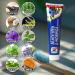 Black Seed & Moringa Toothpaste 6.5oz Each with 100% Deep Cleansing Natural Toothpaste Organic Paste eliminates Bad Mouth Odor Keeping it Refreshing (6.5 Oz (Pack of 1) Black Seed & Moringa 6.5 Fl Oz (Pack of 1) - Buy Online on GoSupps.com