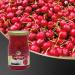 Luciano Cocktail Cherries Without Stem - 125g | Premium Maraschino Cherries for Cocktails & Desserts - Buy Online on GoSupps.com