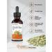 Organic Cold Pressed Pumpkin Seed Oil 4 oz | 100% Pure Extra Virgin | Vegetarian, Non-GMO, Gluten Free | for Hair and Face by Horbaach - Buy Online on GoSupps.com