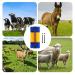 Generic Scratch Brush for Farm Animals - Itching Relief & Massage Tool for Cows Horses Sheep & Pigs - Durable Cleaning Brush - Buy Online on GoSupps.com