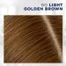 Clairol Root Touch-Up 6G Light Golden Brown Hair Dye - Pack of 2 - Buy Online on GoSupps.com