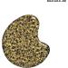 Sally Hansen Hard As Nails Xtreme Wear Nail Polish 290 Bold Gold - Buy Online on GoSupps.com