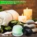 Green Tea Matcha Sugar Lip Scrub - Hydrating Treatment for Dry, Chapped Lips | Best Exfoliating & Plumping Lip Polish - Buy Online on GoSupps.com