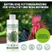 DKT-Natura Oregano Oil 500ml | 80% Carvacrol | High Dose for Chickens | Supports Digestion & Intestinal Flora | Aids in Parasite Control | Supplement for Chickens Pigeons Quail - Buy Online on GoSupps.com