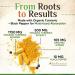 Turmeric Curcumin Supplement 2350mg - 95% Curcuminoids with Organic Turmeric & Ginger BioPerine Black Pepper for Best Absorption Nature's Vegan Joint Support Non-GMO Bottled in USA - 360 Capsules 360 Count (Pack of 1) - Buy Online on GoSupps.com