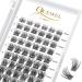 Eyelashes cluster quewel individual eyelashes single cluster lashes 72stck.D curl Mix8-16 eyelash segments wide foundation Individual eyelashes for eyes make-up DIY eyelash extension (qu18-d-mix8-16) 1 piece (1 Pack) Qu18-D mix 8-16mm