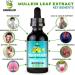 Undelio's Herbal Mullein Leaf Extract - Organic Alcohol-Free Tincture for Respiratory Lung Sleep Digestive Support - Non-GMO Vegan 2 fl. Oz Immune Health Lung Detox - Buy Online on GoSupps.com