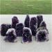 Amethyst Rough Stone Natural Amethyst Geode Quartz Cluster Crystal Specimen 650-700g - Buy Online on GoSupps.com