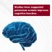 LifeLink Potassium Orotate 300mg x 100 Tablets | Heart & Brain Health | Gluten Free, Non-GMO | USA Made - Buy Online on GoSupps.com