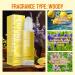 Vanilla Fragrance Oil Roll On Perfume Travel Size perfume body oil Long Lasting Vanilla Perfume Oil for women Vanilla Essential Rollerball Perfume Oil 10 ml / 0.34 fl.Oz (Yellow) - Buy Online on GoSupps.com