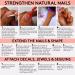 Mylee 5 in 1 Builder Base Strengthening Gel 15ml - UV/LED Nail Polish Coat for Hard Strong Nails - Professional Manicure Repair - Laid Bare - Buy Online on GoSupps.com