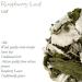Organic Red Raspberry Leaf Tea for Pregnancy - 100g Loose Leaf Tea - RasberryLeaves 100g (1 Pack) - Buy Online on GoSupps.com