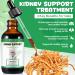 Frovetani Kidney Support for Cats - 2 Fl Oz. - Buy Online on GoSupps.com