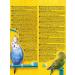 RIO Moulting Food for Budgies - 1kg Pack | Premium Nutrition for Healthy Feathers - Buy Online on GoSupps.com