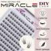 Park Sung Hee Miracle Lash DIY False Eyelashes - Lengthening 9mm-16mm Lash Clusters Contact Lens Friendly Easy to Apply Reusable Strip Lashes (E5-280 13mm - Buy Online on GoSupps.com