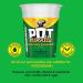 Chicken & Mushroom Pot Noodle Multipack - Pack of 12 x 90g Instant Pot Noodles with Topline Card. Chicken Soup Snack Pots Bulk Buy for Camping Food Picnics or School Holidays. - Buy Online on GoSupps.com