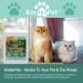 KinderPet Cat Repellent Spray Big Value 2.5L Refill Stop Cats Anti Fouling Cat Deterrent Stop Fouling Pooping Peeing Urinating Scratching Eucalyptus Lime Peppermint - Buy Online on GoSupps.com