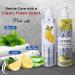 Christmas Hand Soap Holiday Design | Fresh Green Tea & Lemon Scent | 1 Pack 16 oz Pump Bottle | Classic Christmas Bathroom & Kitchen Decor | Paraben-Free Made in USA 1 16 Fl Oz (Pack of 1) - Buy Online on GoSupps.com