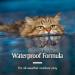 PetArmor Flea and Tick Treatment for Cats - 1.5 lbs - 0.051 fl oz - Buy Online on GoSupps.com