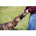 Buy Julius-K9 Leather Bite Sausage - 25cm x 5.5cm with Two Hand Loops | International Shipping - Buy Online on GoSupps.com