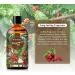 PHATOIL Coffee Fragrance Oil for Aromatherapy & DIY Scented Products - 100ml (Pack of 1) - Buy Online on GoSupps.com