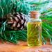 Forest Magic Organic Essential Oils Set - Scotch Pine, Juniper, Silver Fir | 100% Pure & Natural, Therapeutic Grade | Family-Owned Farm | Non-GMO | 3 x 10 ml - Buy Online on GoSupps.com