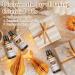 Premium Gingerbread Fragrance Oil 100ml - Essential Oil for Diffusers Candles Soap Making & Bath Bombs - Buy Online on GoSupps.com