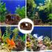 Premium Aquarium Decorations - Resin Barrel Cave Ornaments for Shrimp & Fish - Underwater Landscapes - Buy Online on GoSupps.com