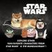 Star Wars Ceramic Dog Treat Jar with Lid - Pet Treat Container and Food Storage - Dog Canister for Treats - 7.3 x 5.1 inches - Buy Online on GoSupps.com