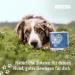 Animal Lover Z-Snack 350g Optimal Reward for Dogs with Black Cumin Oil & Coconut | 2-Month Ration | Ideal for Medium-Sized Dogs - Buy Online on GoSupps.com