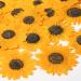 48 Pcs Pressed Flowers for Crafts Dried Pressed Sunflowers for Resin Mini Real Nature Dried Sunflowers Bulk Yellow Dried Sunflower Petals for Jewelry Candle Soap Making DIY Art Scrapbooking Supplies