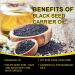 Organic Black Seed Oil - 100% Pure Natural & Cold Pressed Liquid Black Cumin Seed Oilwith Omega 3 6 9 Antioxidant and Thymoquinone for Hair Growth - Buy Online on GoSupps.com