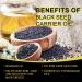 Black Seed Oil - 100% Pure Unrefined Natural Organic Cold Pressed Black Seed Oil with 2% TQ and a Dynamic Harmony of Omegas 3 6 9 Antioxidant Immune Boost Joints Skin & Hair 2.02 Fl Oz (1 Pack) 2.02 Fl Oz (Pack of 1) - Buy Online on GoSupps.com