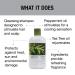 GREAT CLIPS Tea Tree Shampoo 12oz - Natural Dry Scalp Treatment | Dandruff Relief with Essential Oils | Nourishes & Stimulates Scalp | All Hair Types - Buy Online on GoSupps.com