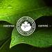 Nabob Organic Reserve Coffee 100% Compostable Pods 292g (4 Boxes of 30 Pods) - Buy Online on GoSupps.com