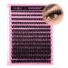 280Pcs Wispy Individual Lashes DIY Eyelash Extensions 8-16MM Fluffy D Curl Lash Extensions Lash Clusters 80D Cluster Eyelashes DIY at Home by ALICE F22-Classic 80D